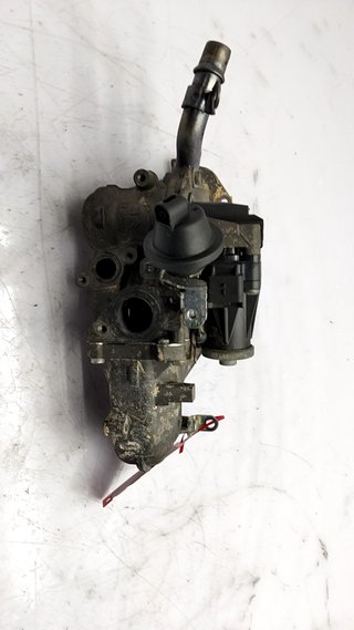VALVULA EGR RENAULT KANGOO (KC0/1_) 841410