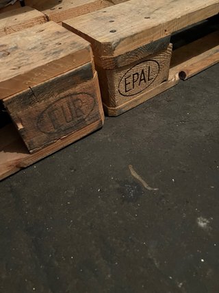 Palets de madera EUR EPAL 7 unidades