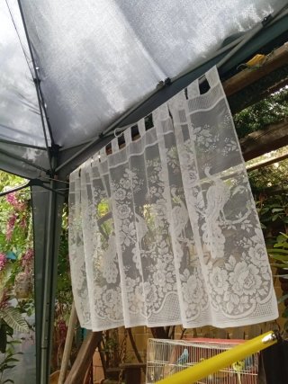 Cortina blanca de tela con diseño de pavo real