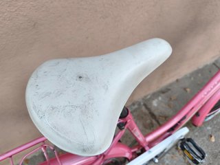 Bicicleta Paseo