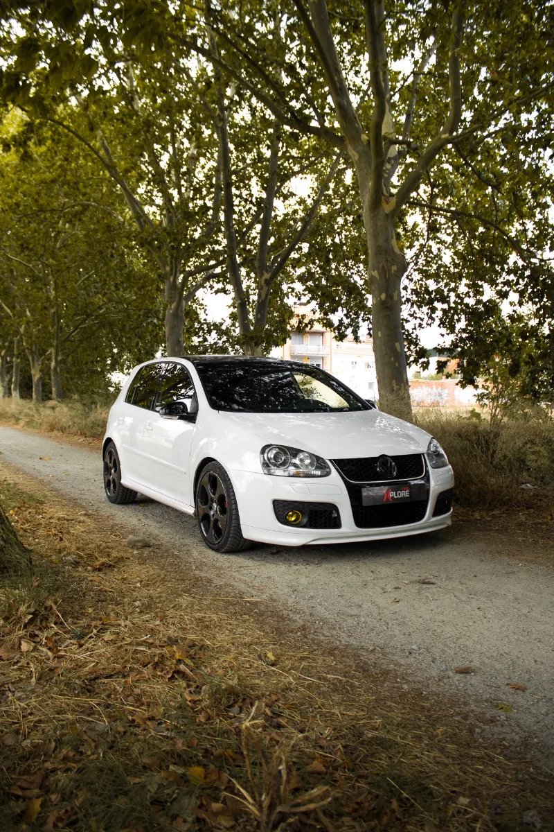 Volkswagen Golf 2008