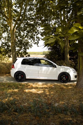 Volkswagen Golf 2008