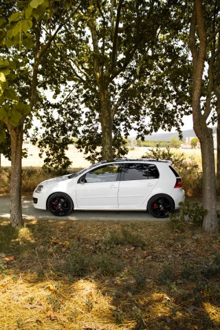 Volkswagen Golf 2008