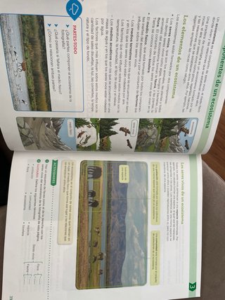 Ciencias de la naturaleza, 5 Primaria, Comunida...