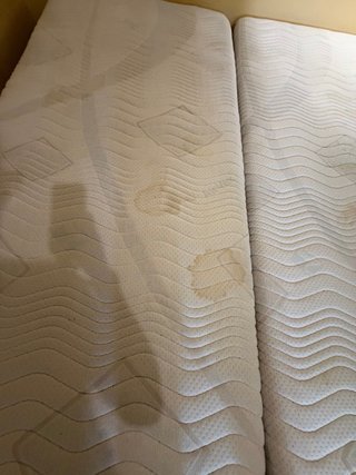 Cama articulada + somier