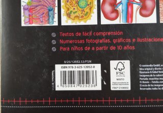 EL CUERPO HUMANO