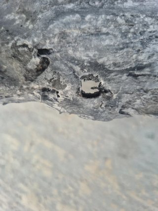Pase Rueda Izquierdo Toyota Corolla