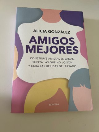 Libro Amigos Mejores de Alicia González