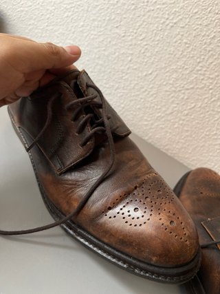 Zapatos Blucher Emidio Tucci Marrones