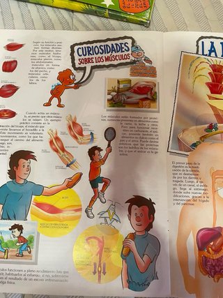 Álbum cromos El Cuerpo Humano completo
