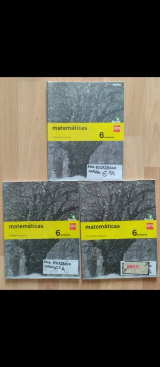 Matemáticas 6 de primaria