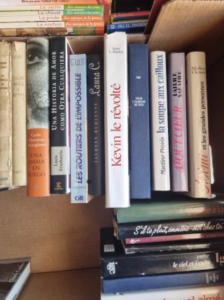 Libros en español y en francés