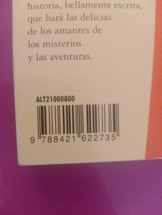 El Enigma de la Muchacha Dormida