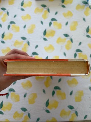 The Holistic Psychology: How to do the work