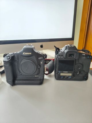 2 Fotocamere Canon 1D