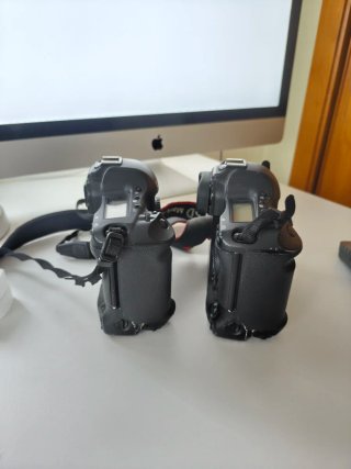 2 Fotocamere Canon 1D