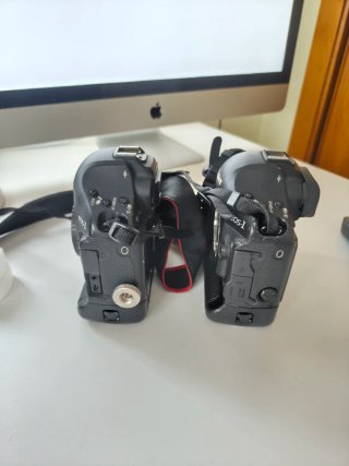 2 Fotocamere Canon 1D