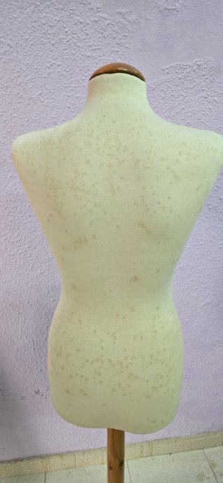 Maniquí con base de madera
