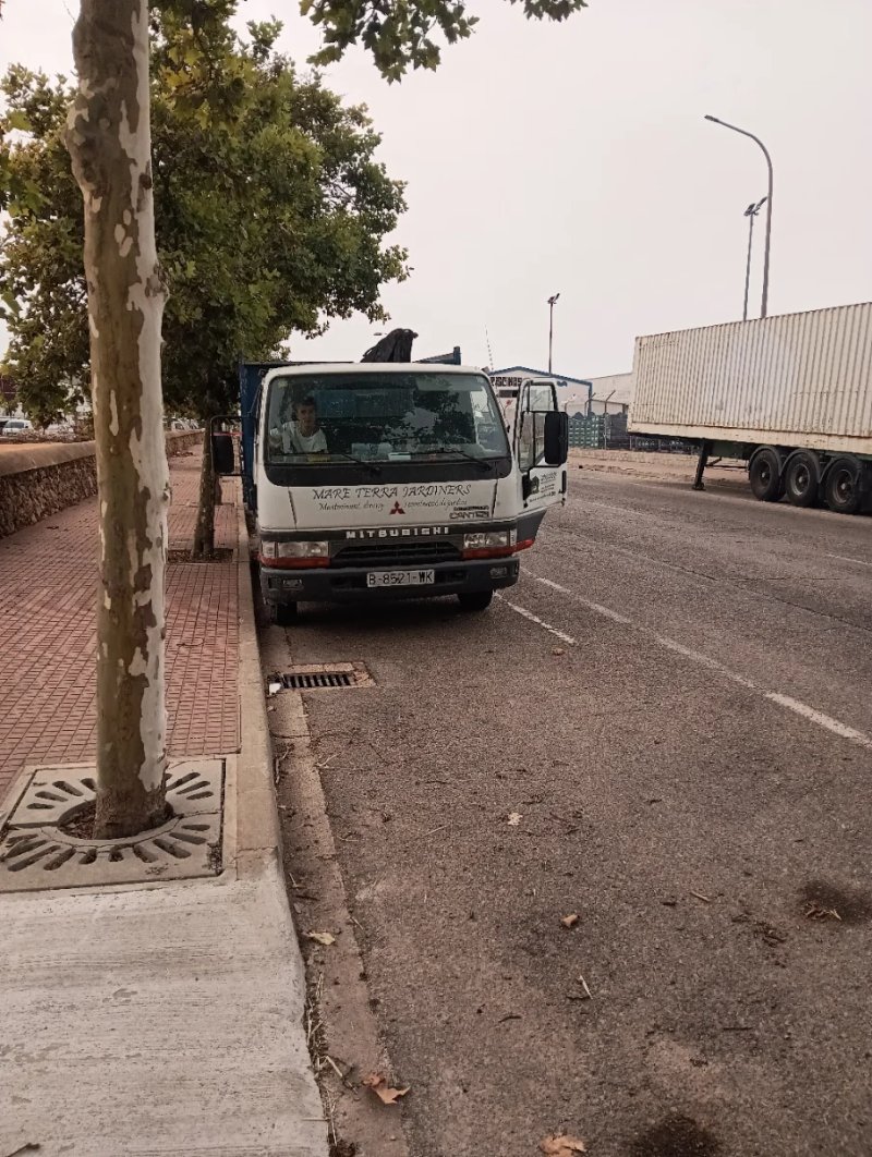 Mitsubishi canter EN MENORCA  camión pluma con vol - foto 1