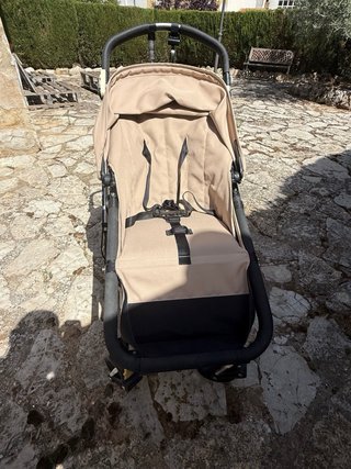 Carrito Bugaboo Camaleón