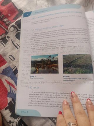 Producción agrícola