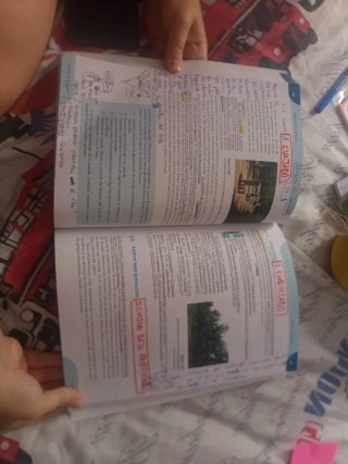 Producción agrícola