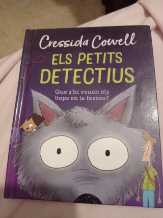 Els petits detectius