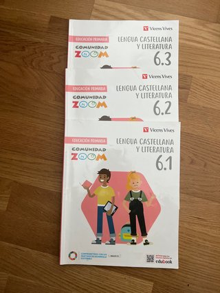 Lengua Castellana y Literatura 6, Educación Pri...