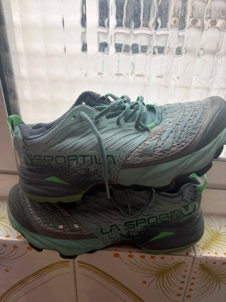 Zapatillas