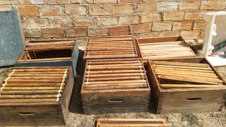 Lote Apicultura: Colmenas y Accesorios