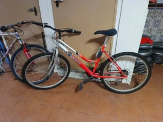 Bicicleta de Montaña Roja y Plateada