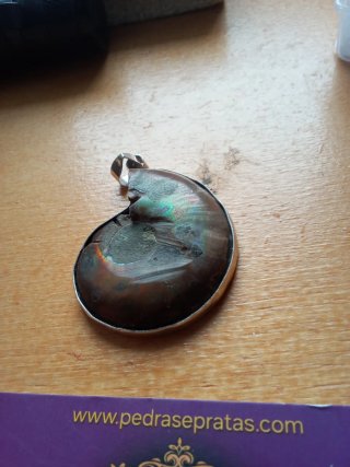 Pingente Amonite Fóssil Prata Handmade