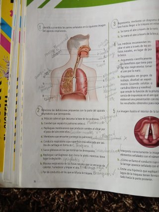 Biología y Geología 3, Secundaria, Fanfest Edel...