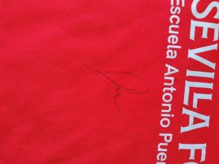 Camiseta del Sevilla firmada|Joya de colección