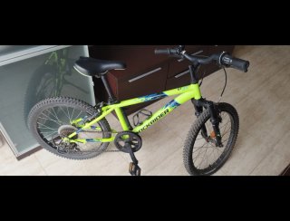 Bicicleta 20 pulgadas (6-10 años)