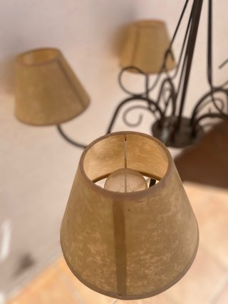 Lámpara de techo decorativa 5 brazos