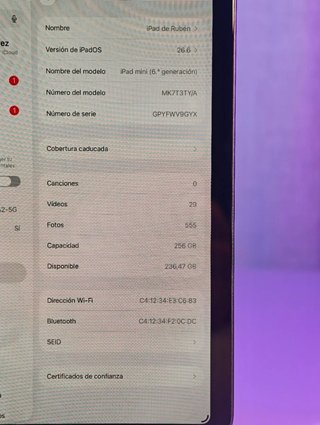 COMO NUEVO iPad mini 6ª Gen 256GBs Gris