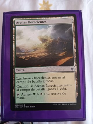 Conjunto de cartas- Magic The Gathering