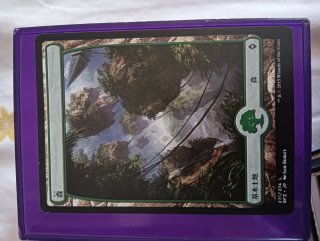 Conjunto de cartas- Magic The Gathering