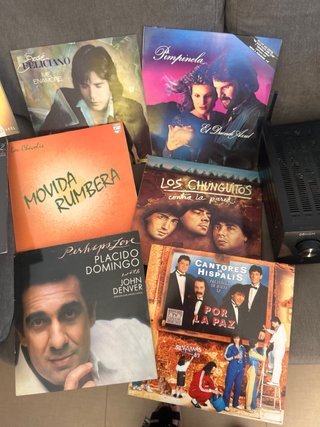 Lote de 10 Vinilos Música Variada