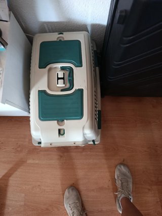 Transportín para mascotas beige y verde
