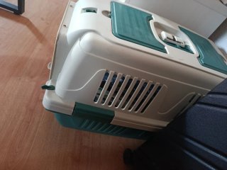 Transportín para mascotas beige y verde