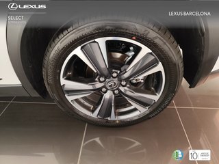 Lexus UX300H RELAX 2026 REF 2435