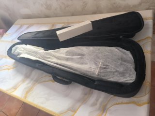 Guitarra Enya Nexg n2