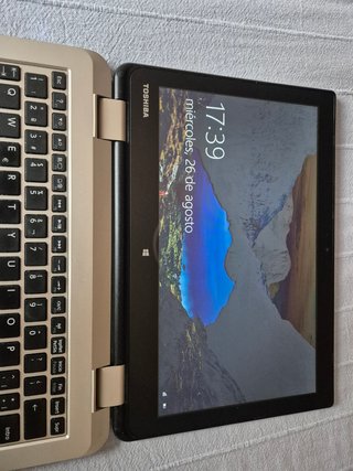 Toshiba Satellite L10w-B-101 Gris/Plata