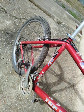 Bicicleta BH