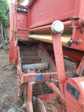 Cosechadora de patatas Grimme SE 75-40