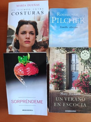 Novela romantica