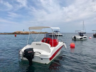 Embarcaciones Remus 450