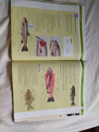 Biologia y Geologia 1 ESO. 9788468058641
